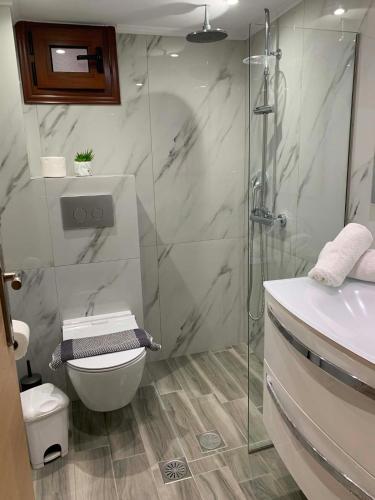 a bathroom with a shower and a toilet and a sink at Miminllari APARTMENTS 2 in Pefkochori