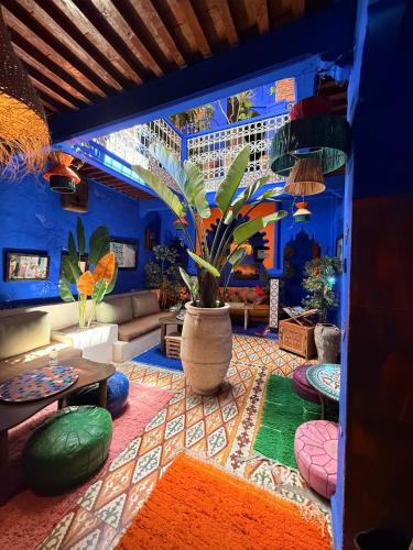 a living room with a large vase with a plant in it at Casa Amina in Chefchaouen