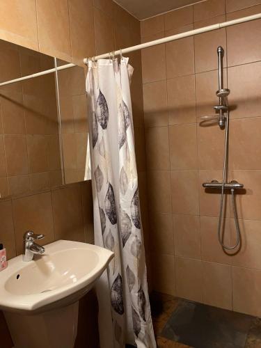 a bathroom with a shower curtain and a sink at 'Onze Knoerishoeve' in Odiliapeel