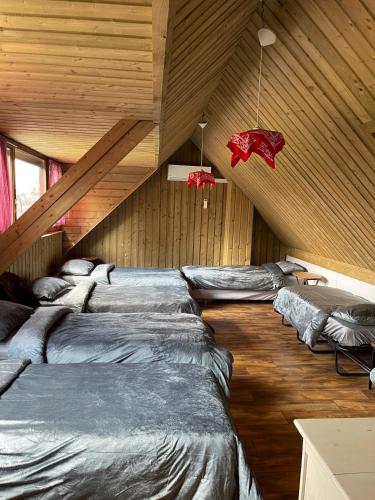 a room with several beds in a wooden room at 'Onze Knoerishoeve' in Odiliapeel