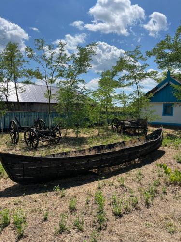 an old wooden boat sitting in a field at Murighiol Excursii in Murighiol