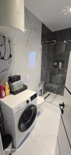a washing machine in a bathroom with a shower at DLE Murtic in Shëngjin