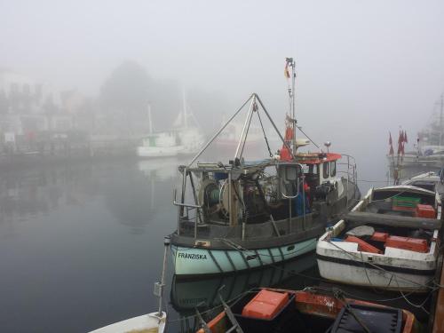 two boats docked in a harbor on a foggy day at KurparkHotel Warnemünde in Warnemünde