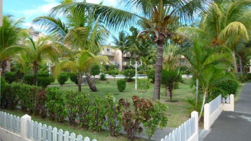 Jardin de l'établissement Le Datier Luxury Complex