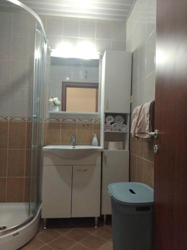 a bathroom with a sink and a toilet and a mirror at Apartman Budva in Budva