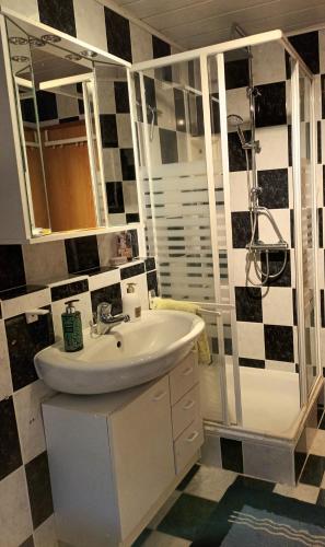 a bathroom with a sink and a shower at Erholsame Westerwälder Ferienwohnung in Weitefeld