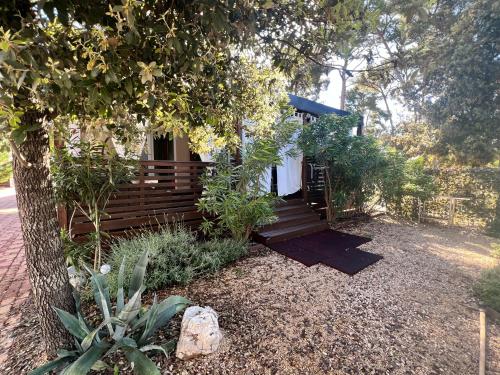 a wooden cabin with a tree and some plants at LunaSky Biograd Mobile Home in Biograd na Moru