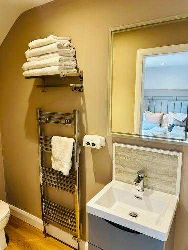 a bathroom with a sink and a mirror and a toilet at Brackengarth House in Purdysburn