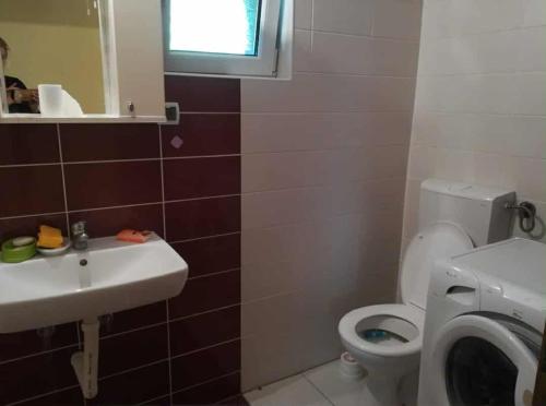 a bathroom with a toilet and a sink and a mirror at Studio u selu Mačkat in Mačkat