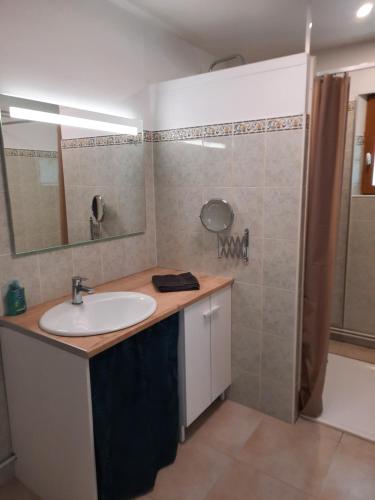 a bathroom with a sink and a shower at Le Petit Moulin de Verberie in Verberie