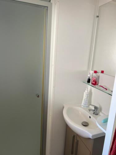 a bathroom with a sink and a shower with a mirror at Mobilehome in Vias