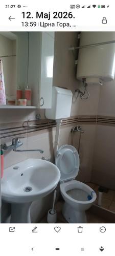 a bathroom with a white toilet and a sink at Kuća Vranića,Sevojno in Ðurovići