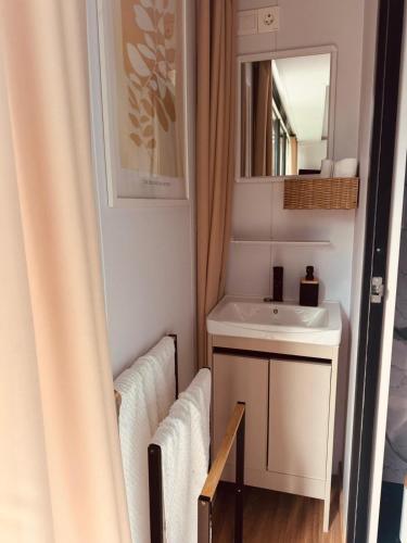 a small bathroom with a sink and a mirror at Zakątek Młynarza in Pruszkowo