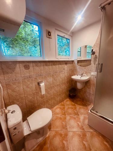 a bathroom with a toilet and a sink at DOMEK NR 5 z dwiema sypialniami in Tleń