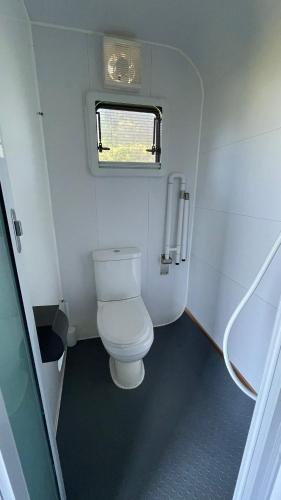 a small bathroom with a toilet and a window at Blackcomb Apple Pod in Klamath