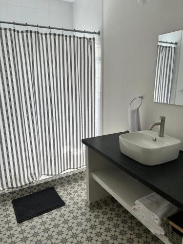 a bathroom with a sink and a large shower at Casa Andres in Guadalajara