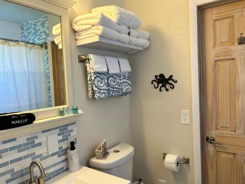 a bathroom with a sink and a toilet and a mirror at Conch Shell Cabana in Vero Beach