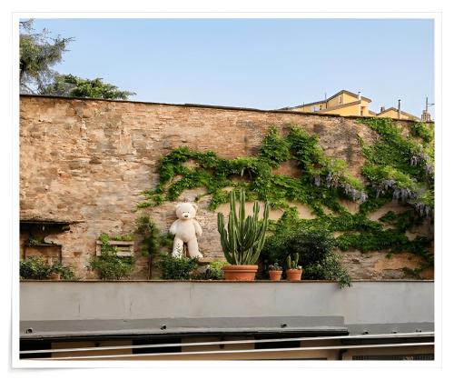 MAISON GIAMBOLOGNA - terrazza, parcheggio gratuito in strada - Centro a piedi, stazione a 5 min