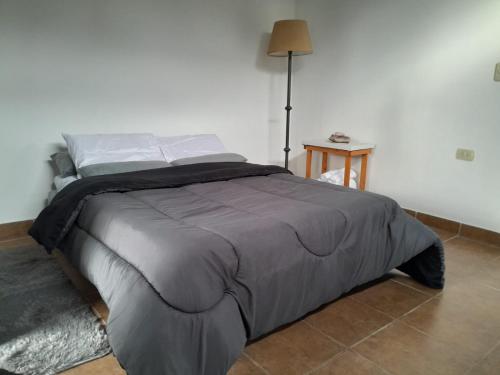 a large bed in a bedroom with a lamp at Amaicha Luján in Luján