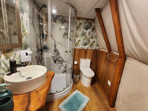 a bathroom with a sink and a shower and a toilet at Alma Lemu Lodge in Los Ladrillos