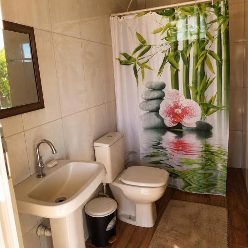 a bathroom with a toilet and a sink and a shower curtain at Pousada Serra Dourada Mossâmedes in Mossâmedes