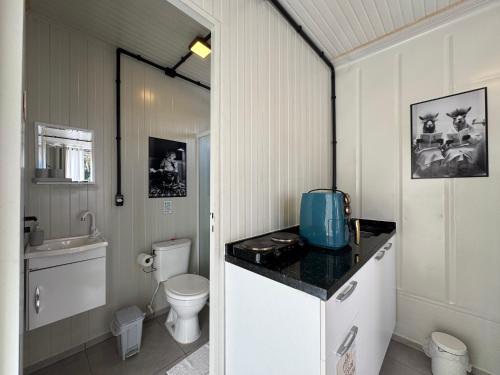 a small bathroom with a toilet and a sink at Charmoso e bem localizado! in Tijucas