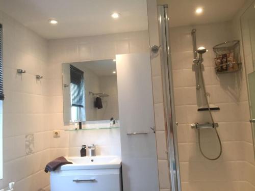 スカーレンデイケにあるFerienhaus Nordseeliebeのシャワー、トイレ、洗面台を備えたバスルーム