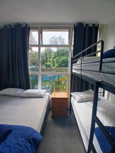 two bunk beds in a room with a window at Park Beach Hotel Motel in Coffs Harbour