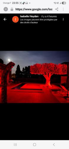 La Villa Monarque photo 54
