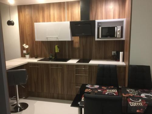 Cuisine ou kitchenette dans l'établissement Nowy Świat Leza Apartaments