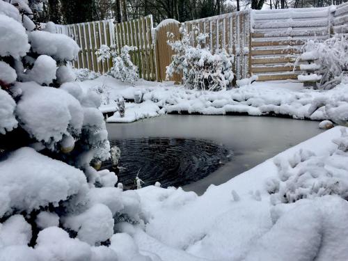 a pond covered in snow next to a fence at Au chalet d'Isa in Havelange
