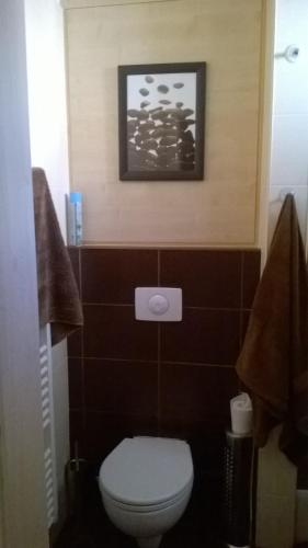 a bathroom with a toilet and a picture on the wall at Apartmán Terchová in Terchová