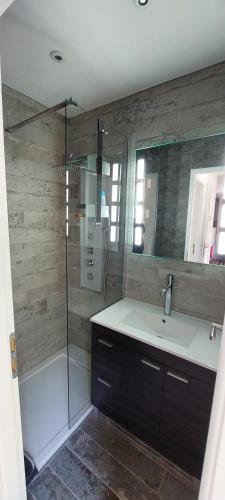 a bathroom with a sink and a shower at Gîte de Laulagne in Ribes