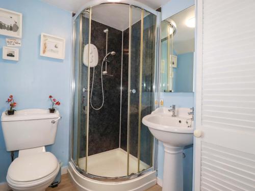 a bathroom with a shower and a toilet and a sink at Longview Cottage in Bugle
