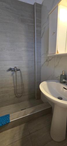 a bathroom with a shower and a toilet and a sink at Nikol Thea Studio in Kallithea Halkidikis