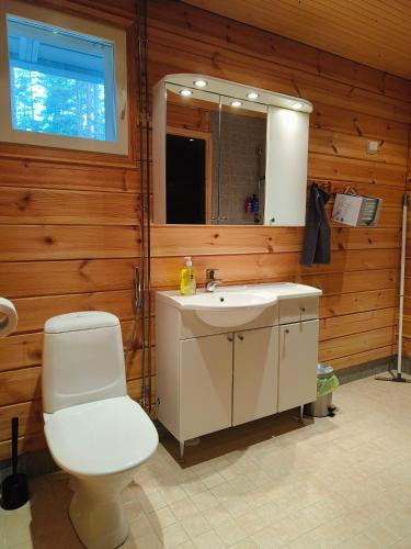 a bathroom with a toilet and a sink and a mirror at Mökki Jyrkinkuja in Loimaa