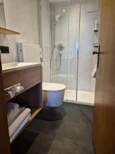 a bathroom with a shower and a toilet and a sink at Landhaus Trista in Damuls