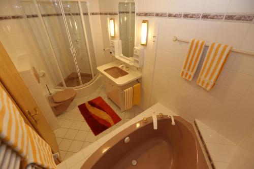 ein Bad mit einer Dusche, einem WC und einem Waschbecken in der Unterkunft Landgasthof Schuster in Nesselwängle