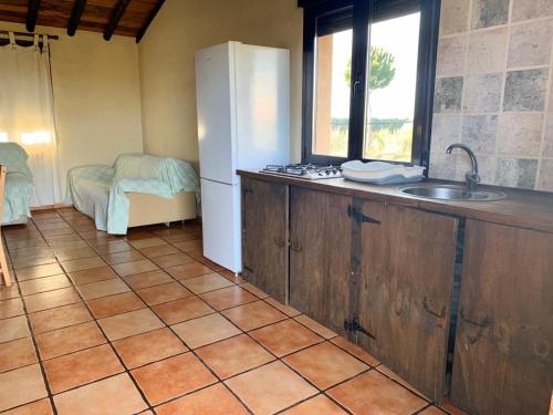 a kitchen with a white refrigerator and a sink at Quinta del Quinoto in Pajares de Adaja