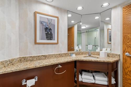 a bathroom with a sink and a large mirror at Hampton Inn Duluth-Canal Park in Duluth