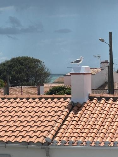 a bird sitting on top of a roof at l'Herbo' MAGNIFIQUE maison à 2 pas du port de Pêche in LʼHerbaudière