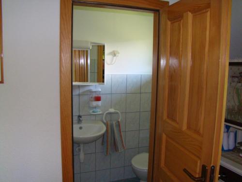 La salle de bains est pourvue d'un lavabo et de toilettes. dans l'établissement Kuća za odmor Lešnica, à Brod na Kupi