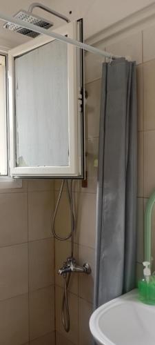a bathroom with a shower with a sink and a mirror at Enki's Garden in Tirana