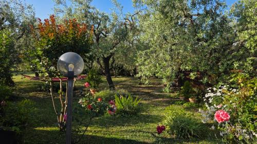 a garden with trees and a lamp in the grass at La Margherita in Ortona