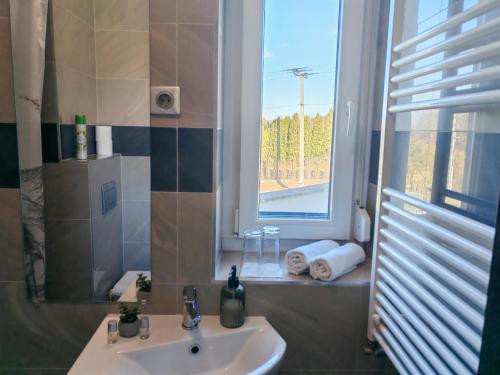 a bathroom with a sink and a window at Szilva Ház in Szilvásvárad