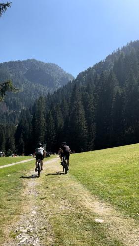 two people riding bikes down a dirt road at Dimaro Apartment in Monclassico