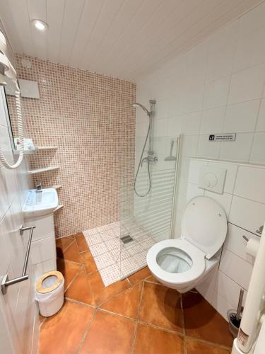 a bathroom with a toilet and a shower and a sink at Maison des mariés in Beaulieu-sur-Loire