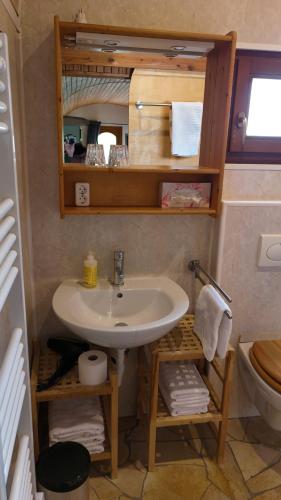 a bathroom with a sink and a toilet at Pfälzer Zirkuswagen in Ranschbach