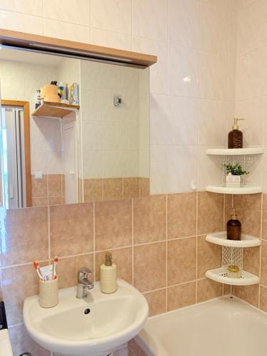 a bathroom with a sink and a mirror at Home place in Louny