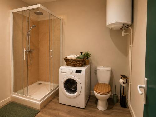 a bathroom with a washing machine and a toilet at Le Refuge de Mandrin, Elegance et tranquilité in Saint-Genix-sur-Guiers